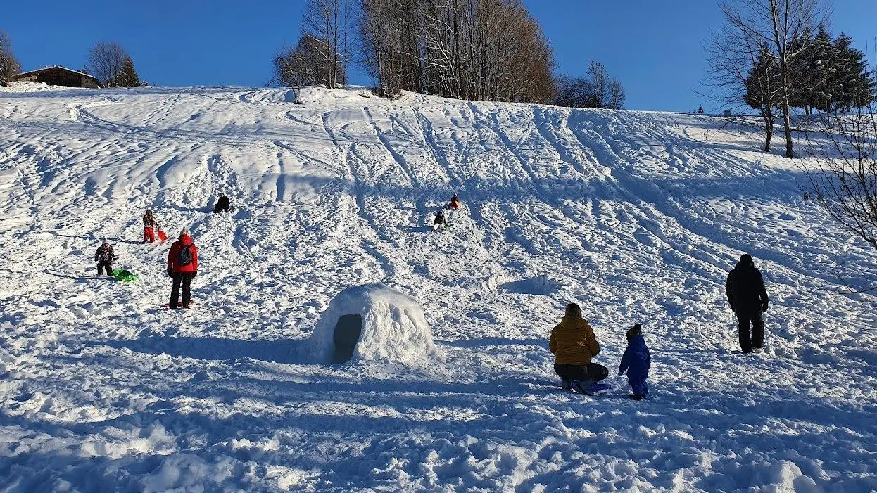 Aux-chalets-des-alpes, Crest-Voland, Savoie Piste de luge