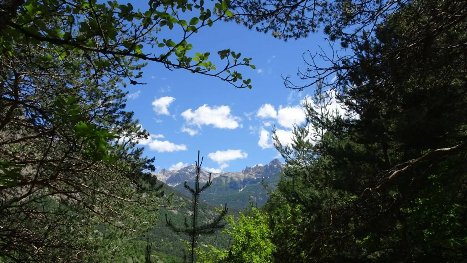 Sur le sentier du Cloutas