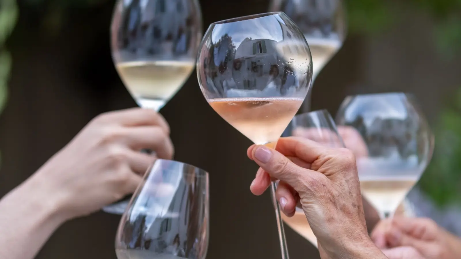 Dégustation des verres de champagnes