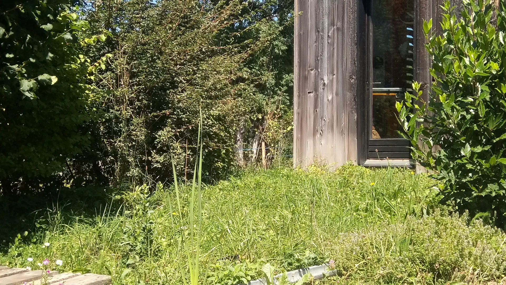 Brioche et Baldaquin