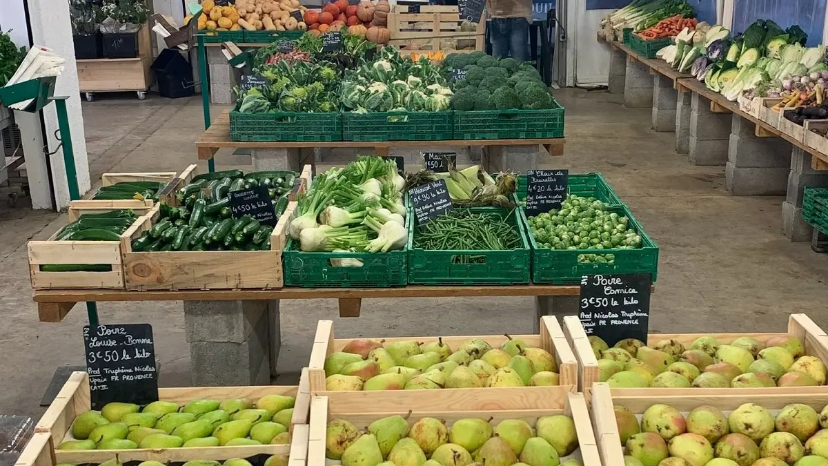 Pommes et Légumes de saison