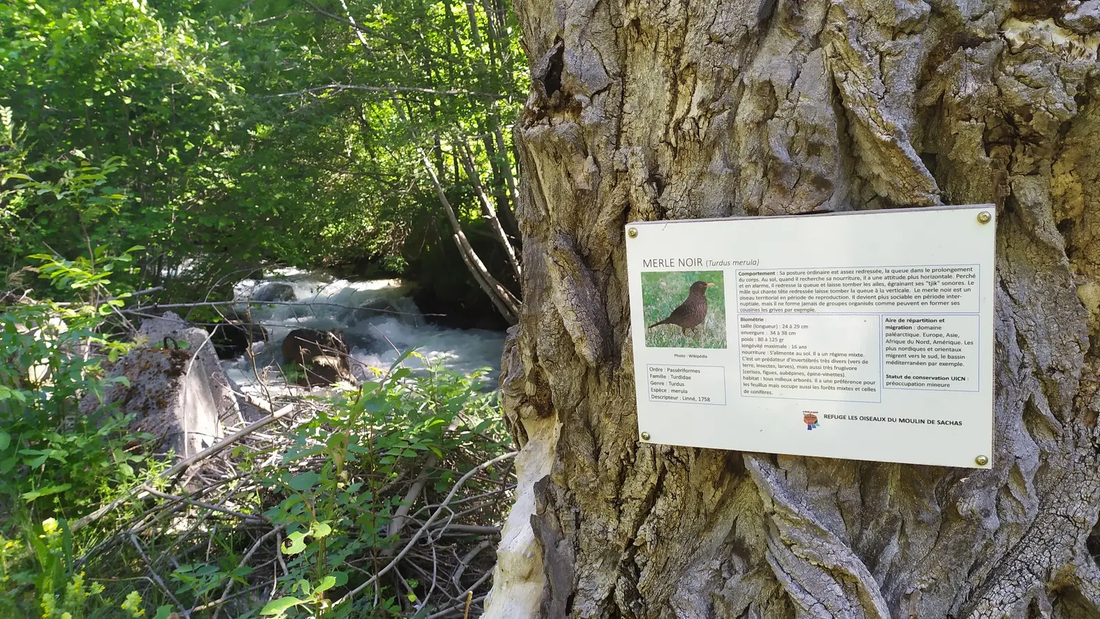 Panneau au bord du torrent des Ayes