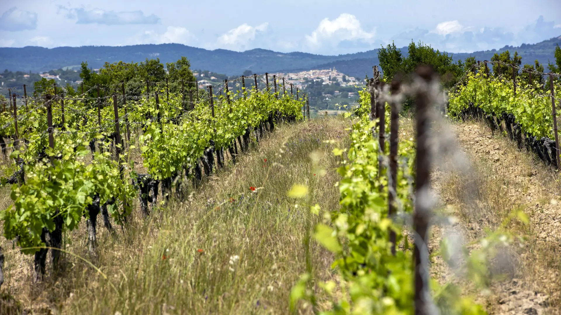 Château Rousset