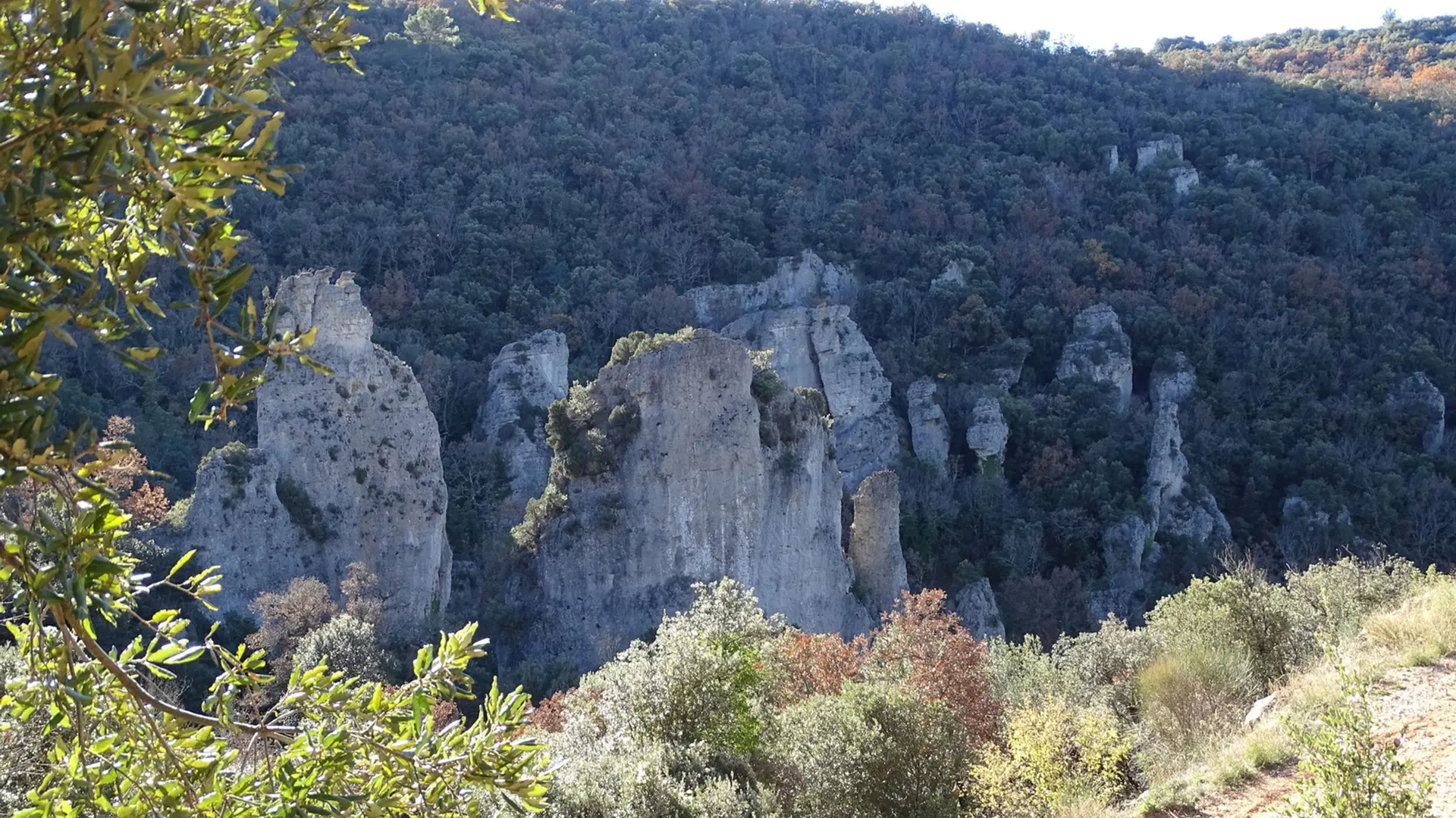 Panorama sur les falaises surplantées de végétation