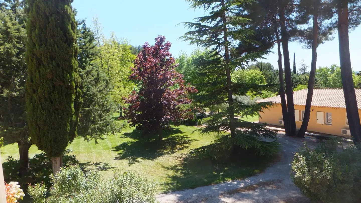 vue sur le parc de la chambre (tour)