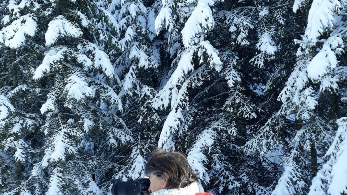 Marianne H'Image_Seyne