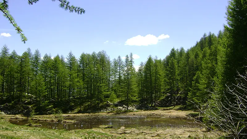 traversée la Foux le Seignus