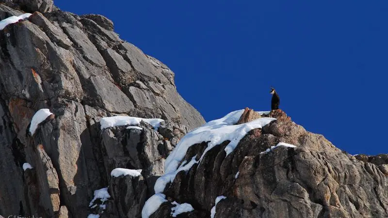 Les lumières du Mercantour : randonnée photographique