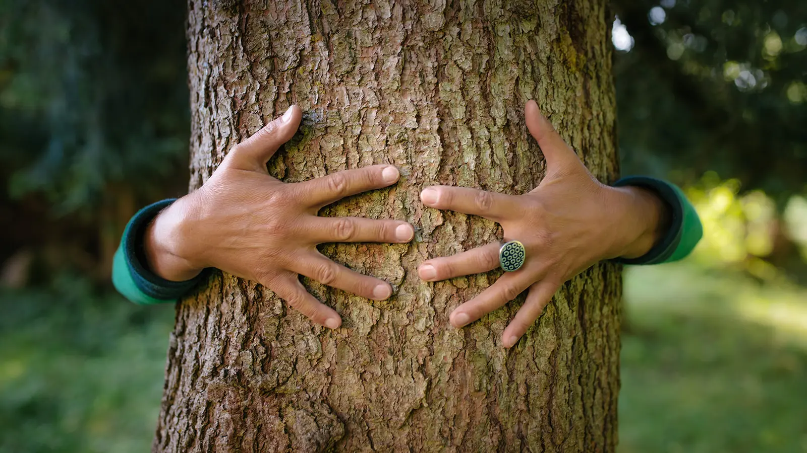 Reconnexion avec la nature et la forêt