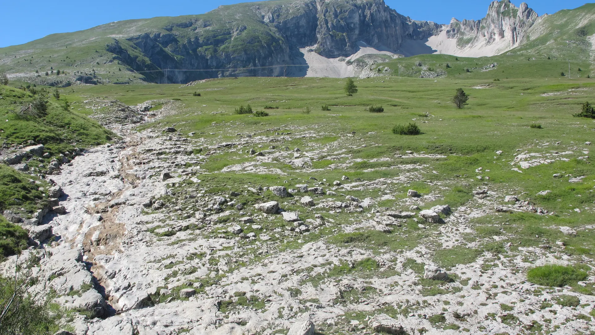 Sur les Alpages du Col de Rabou, Dévoluy, Hautes-Alpes