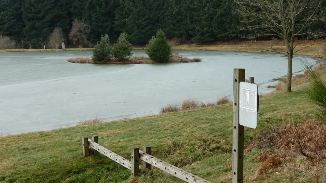 Etang des deux communes, dans les bois : pêche et parcours de santé