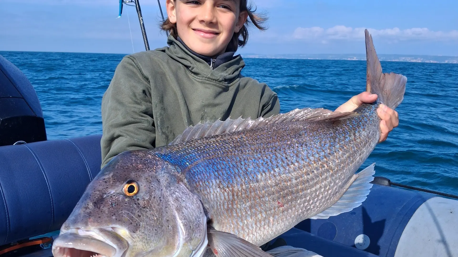 Beau denti capturé sur la Côte Bleue