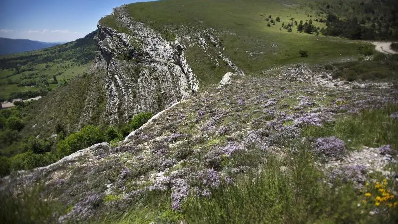 Environs de Digne - © M. Cristofani / Coeurs de nature / SIPA