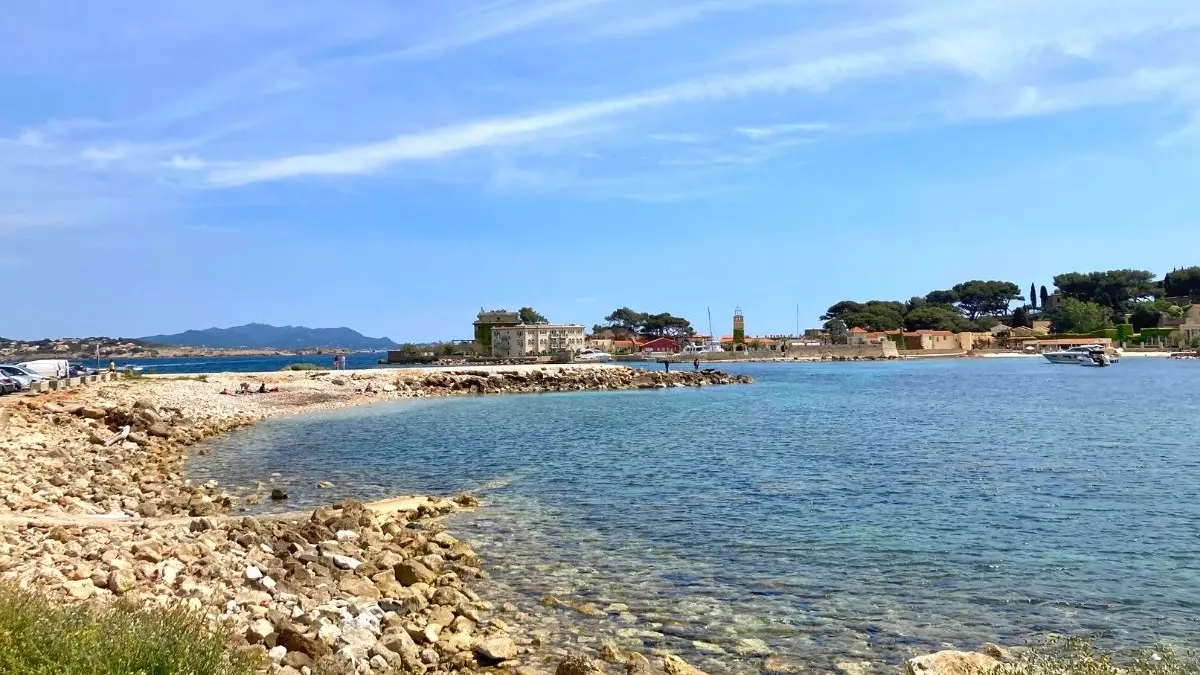 Dog Beach Bandol