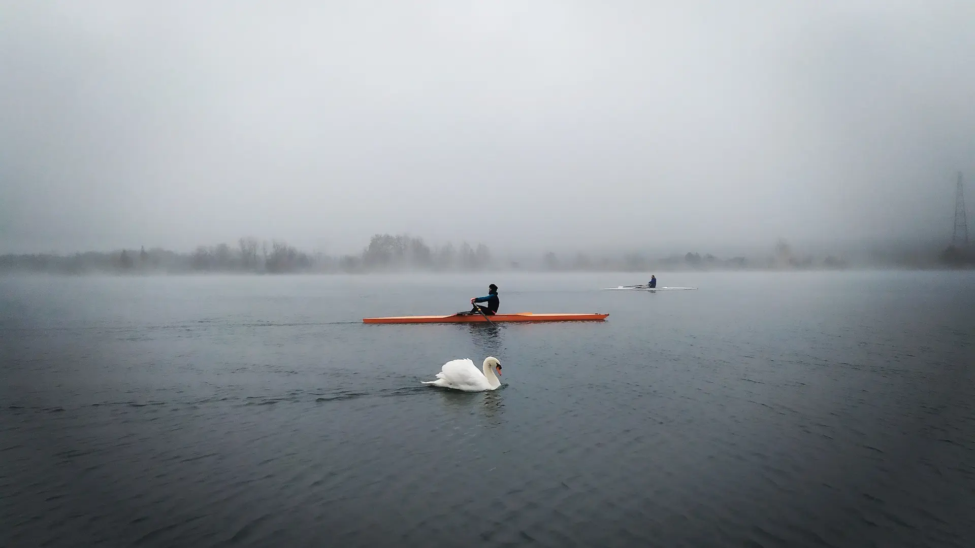 Aviron sport de nature