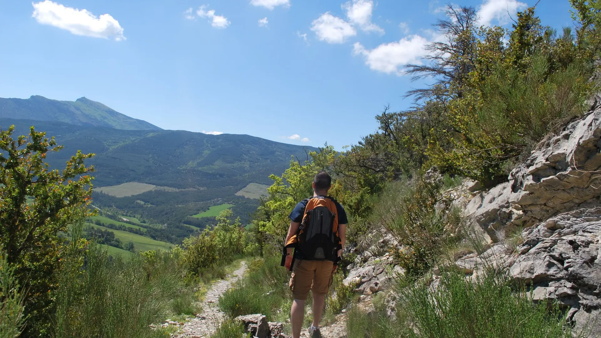 Panorama sauvage sur le Serrois
