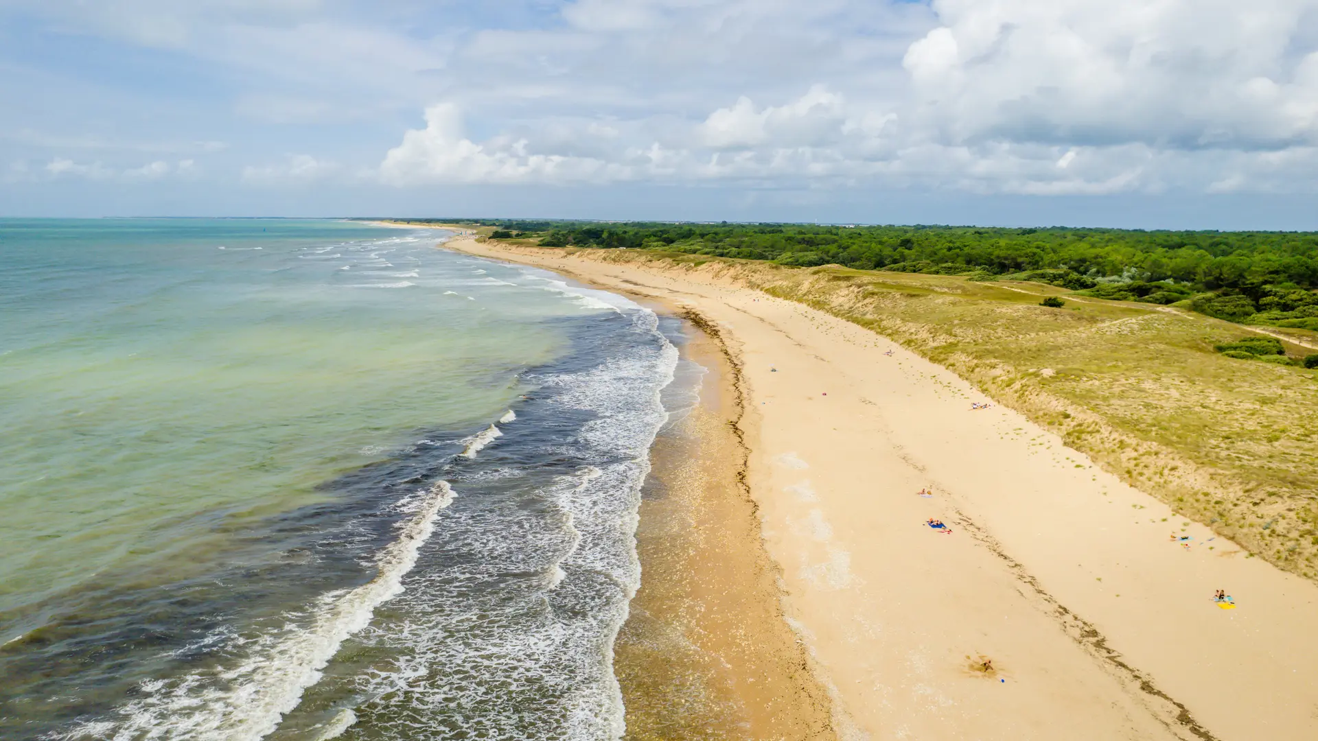 Camping APV Antioche_Le Bois-Plage-en-Ré