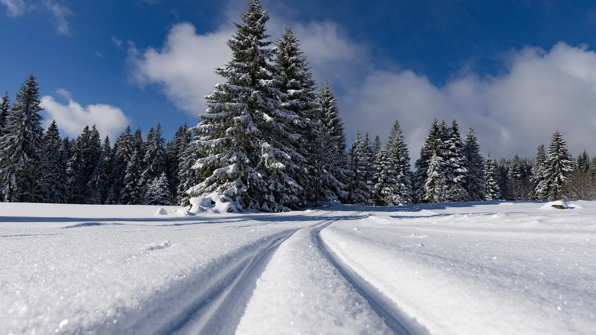 Les pistes de ski de fond au départ du Col de Carri
