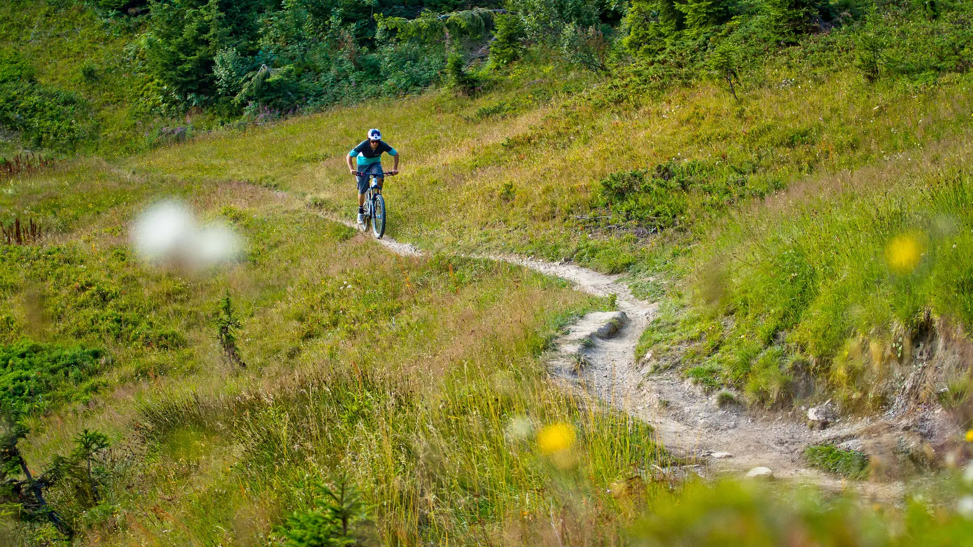 Domaine VTT de Châtel