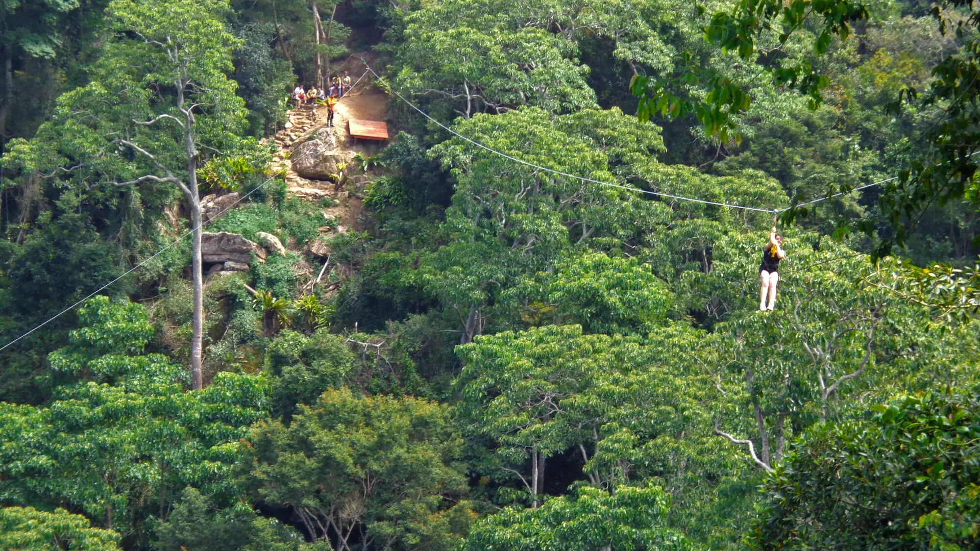 Tyrolienne - La Belle Verte Canopy Tours