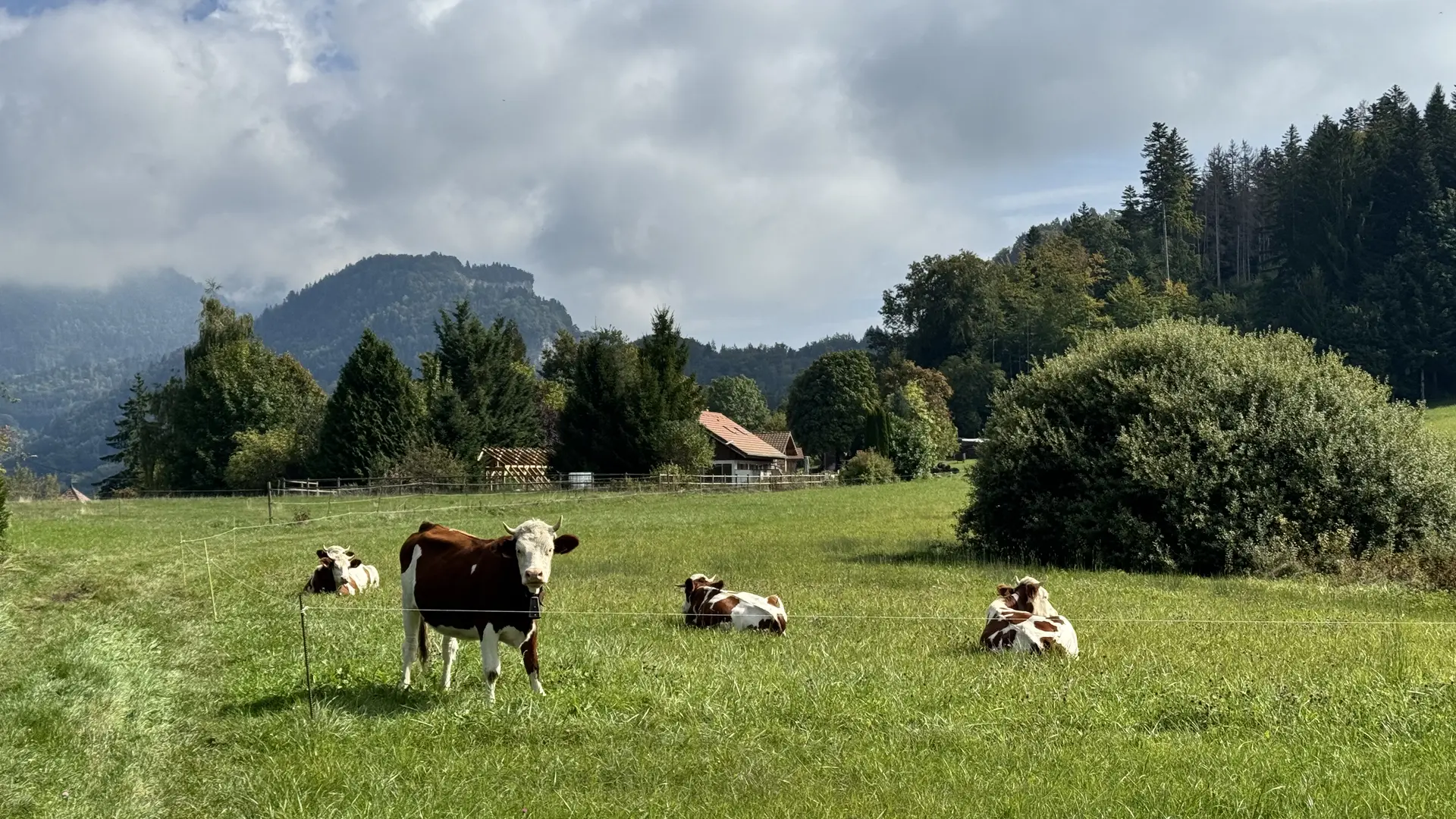 Sentier des grands prés