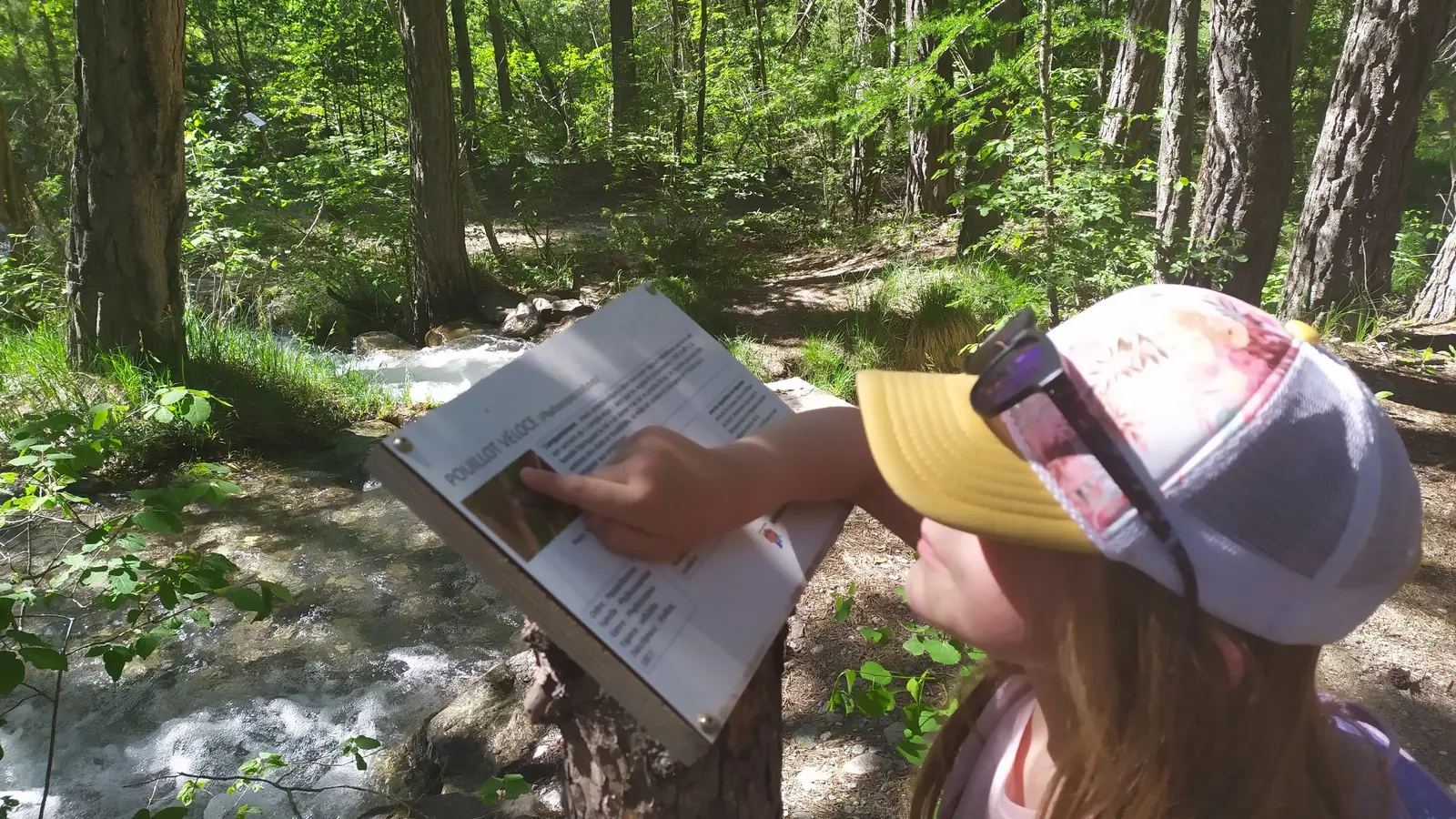 Lecture d'un panneau explicatif du Refuge des oiseaux