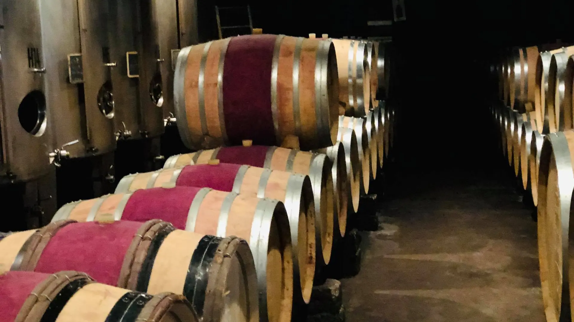 Domaine de la Solitude - La cave