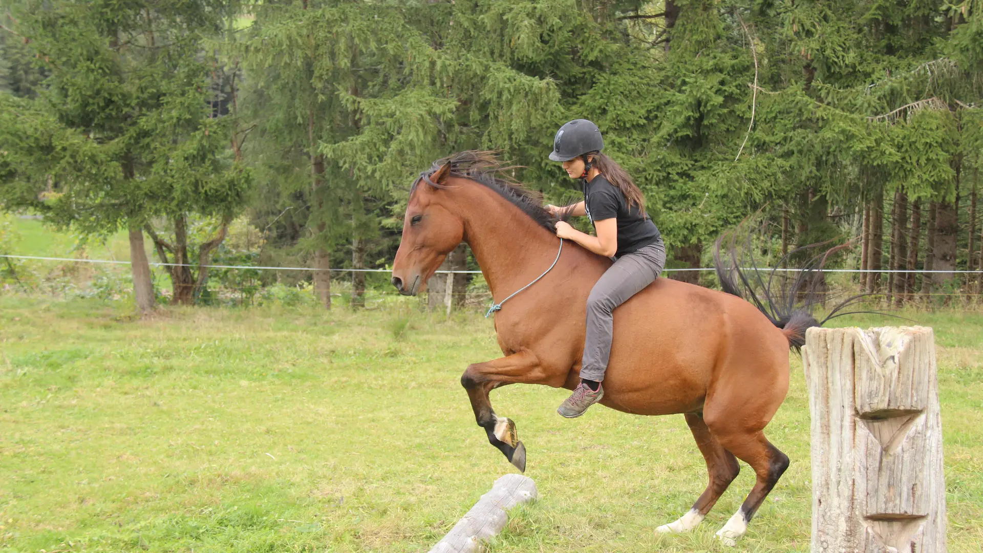 Les Chevaux de Capucine
