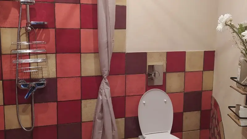 Douche à l'italienne et WC.