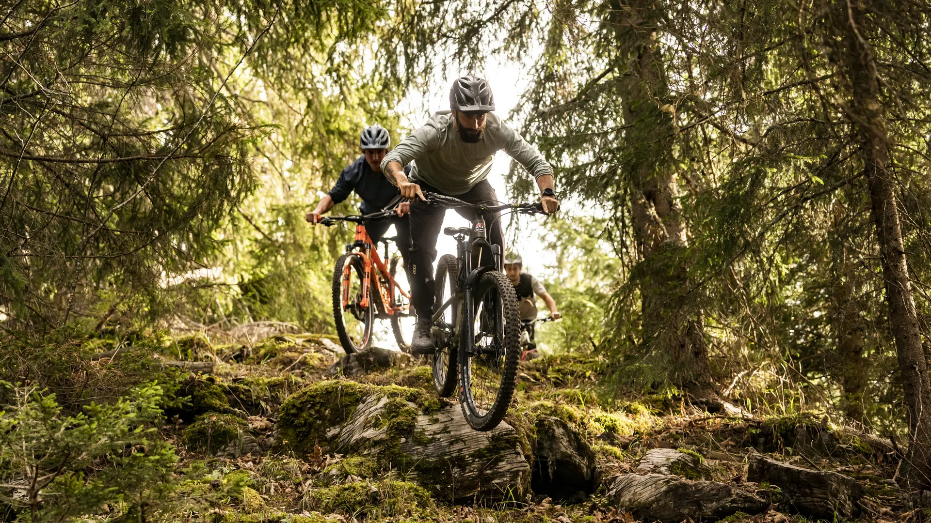 VTT