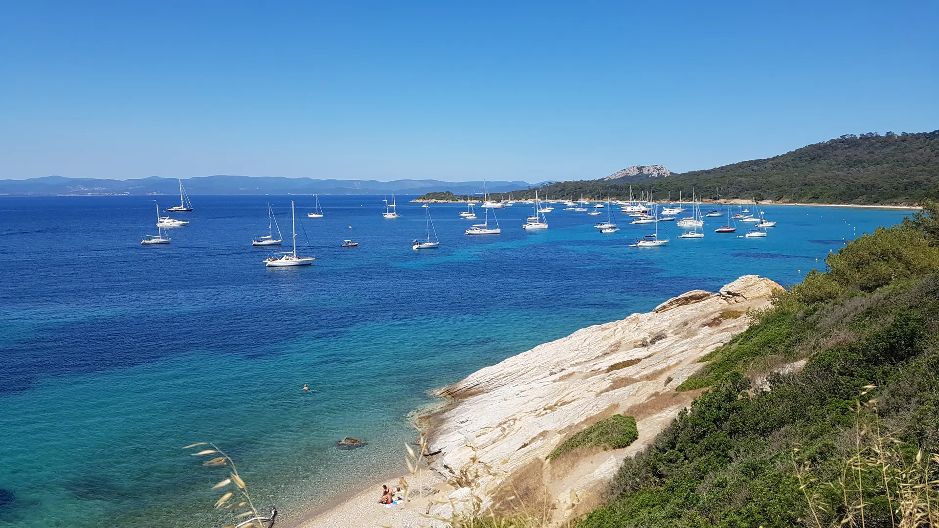 Excursion à Porquerolles avec l'Atlantide