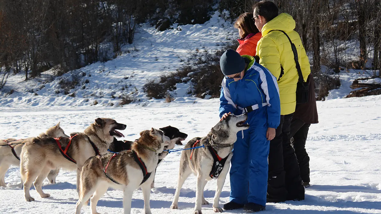 Rando Passion : chiens de traîneau