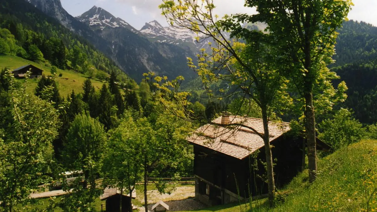 Le gîte, le petit chalet pour les enfants, et la chaîne des Aravis : Etale, Aiguille, Charvin.