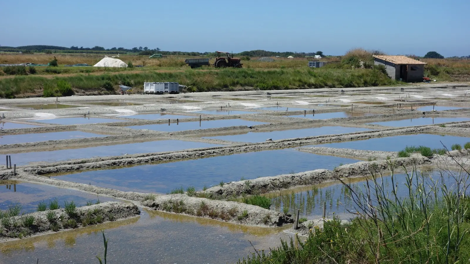 Salzmarsch von Les Salicorniers