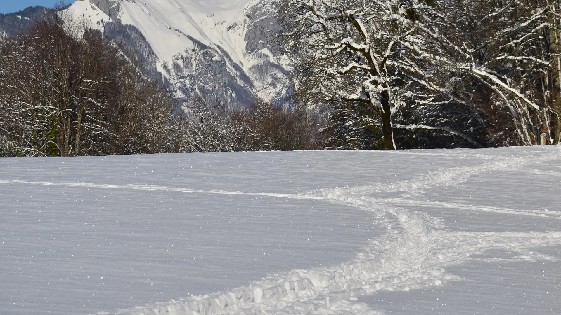 Balade d'hiver en Val de Tamié_Faverges-Seythenex