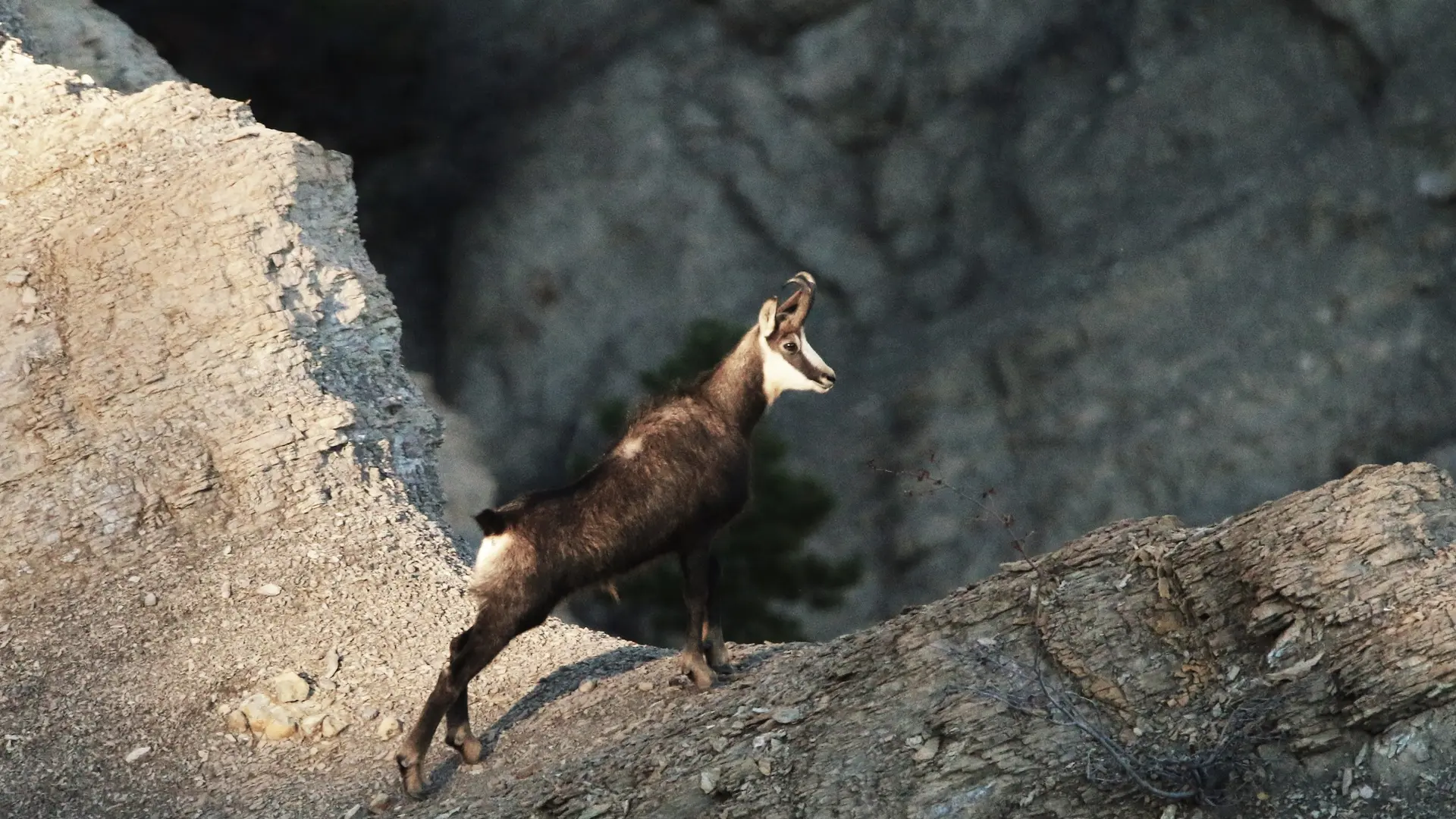 la boucle de Saint Apotre