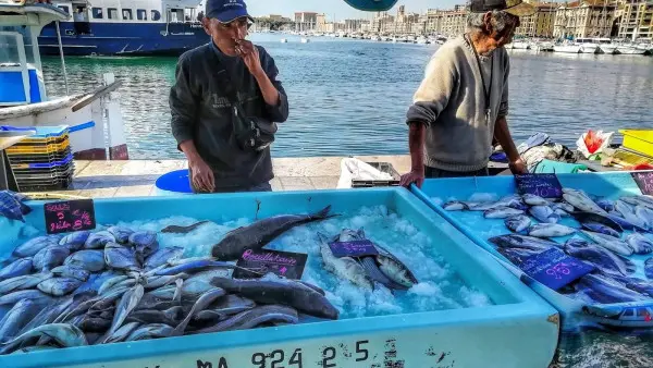 Balade Marseillaise - Visite guidée