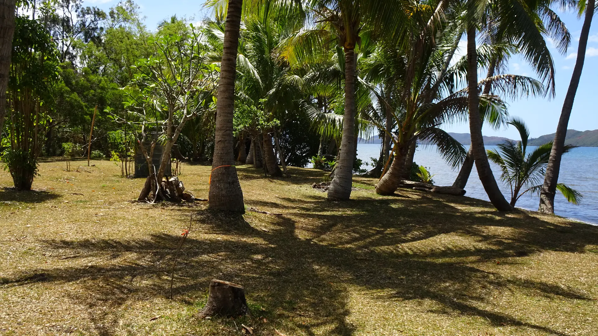 Bordure de Plage