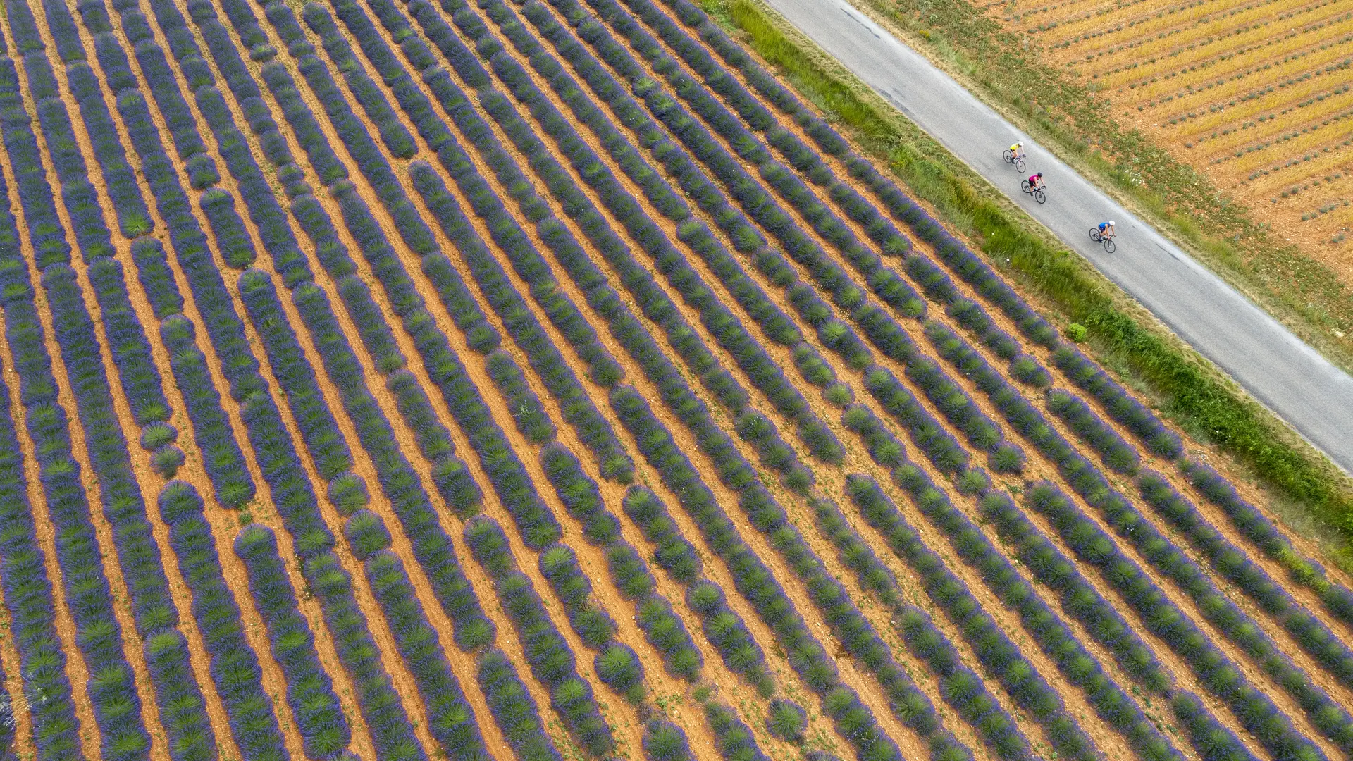 Les deux cols du plateau de Puimichel