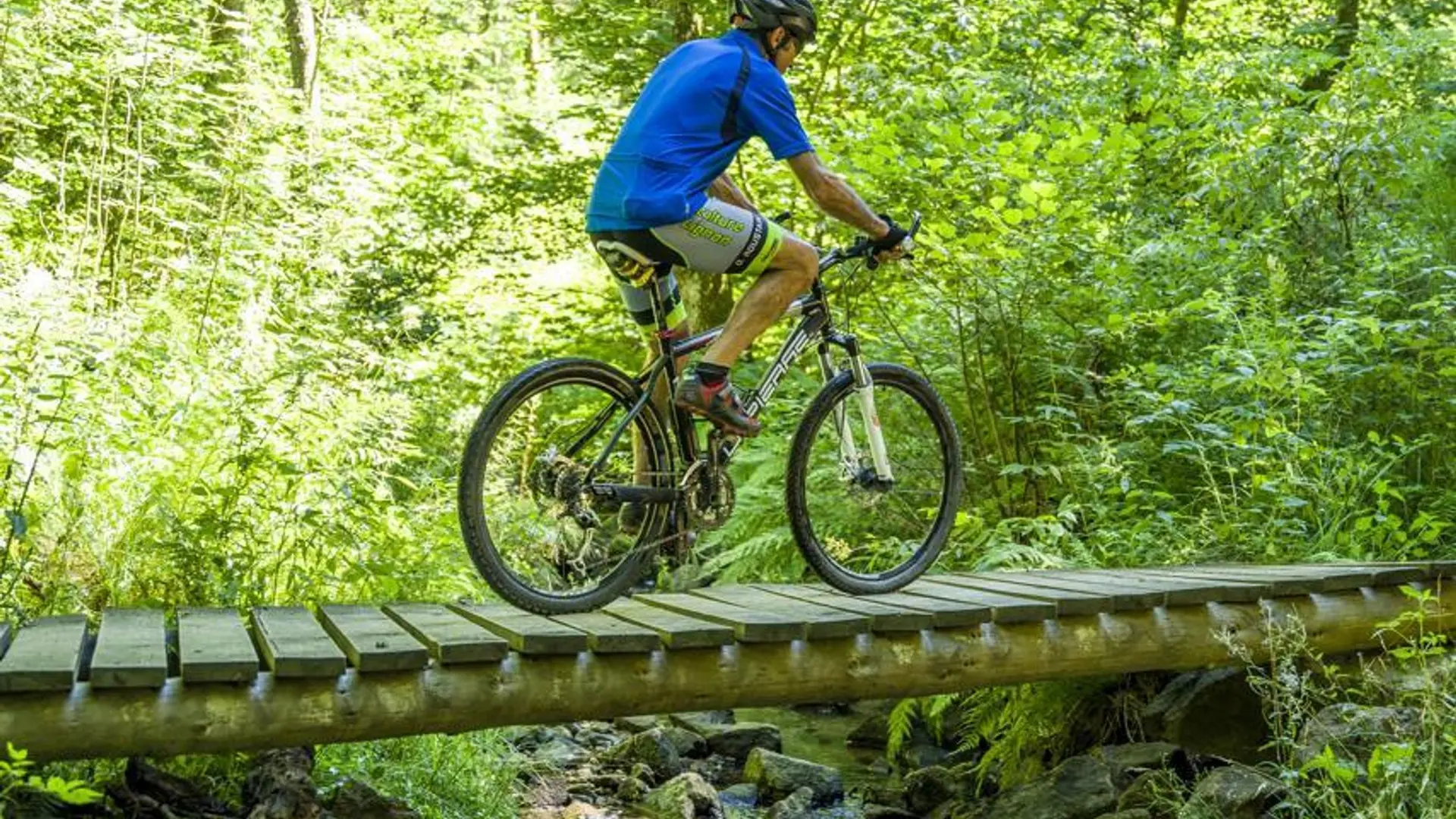 Passage suspendu : entre les arbres et au-dessus de l'eau