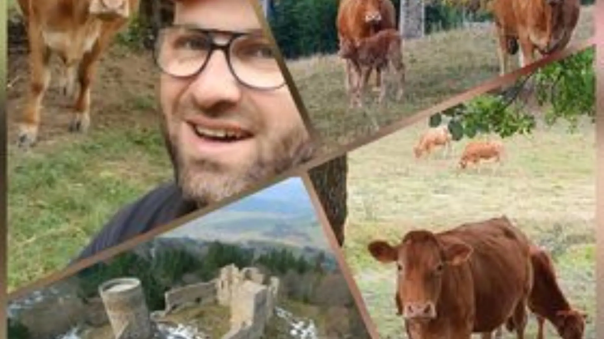 La ferme aux limousines