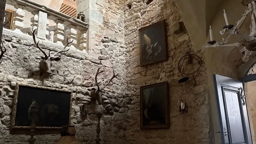 Vestibule