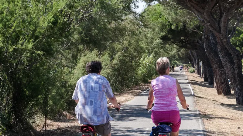 piste cyclable - V65 - Fréjus