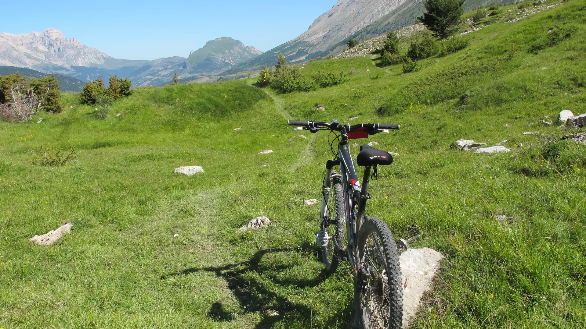 Sur les Alpages du Col de Rabou, Dévoluy, Hautes-Alpes