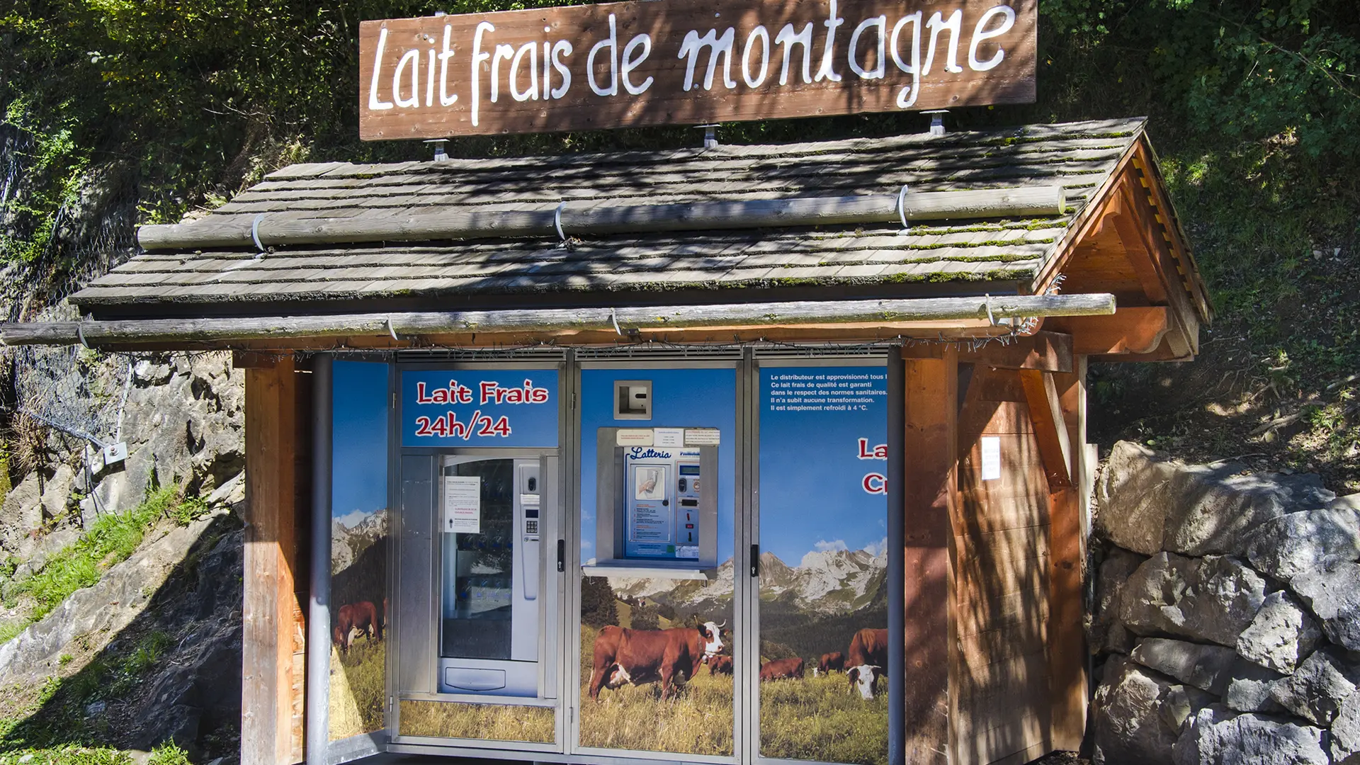 Distributeur de lait