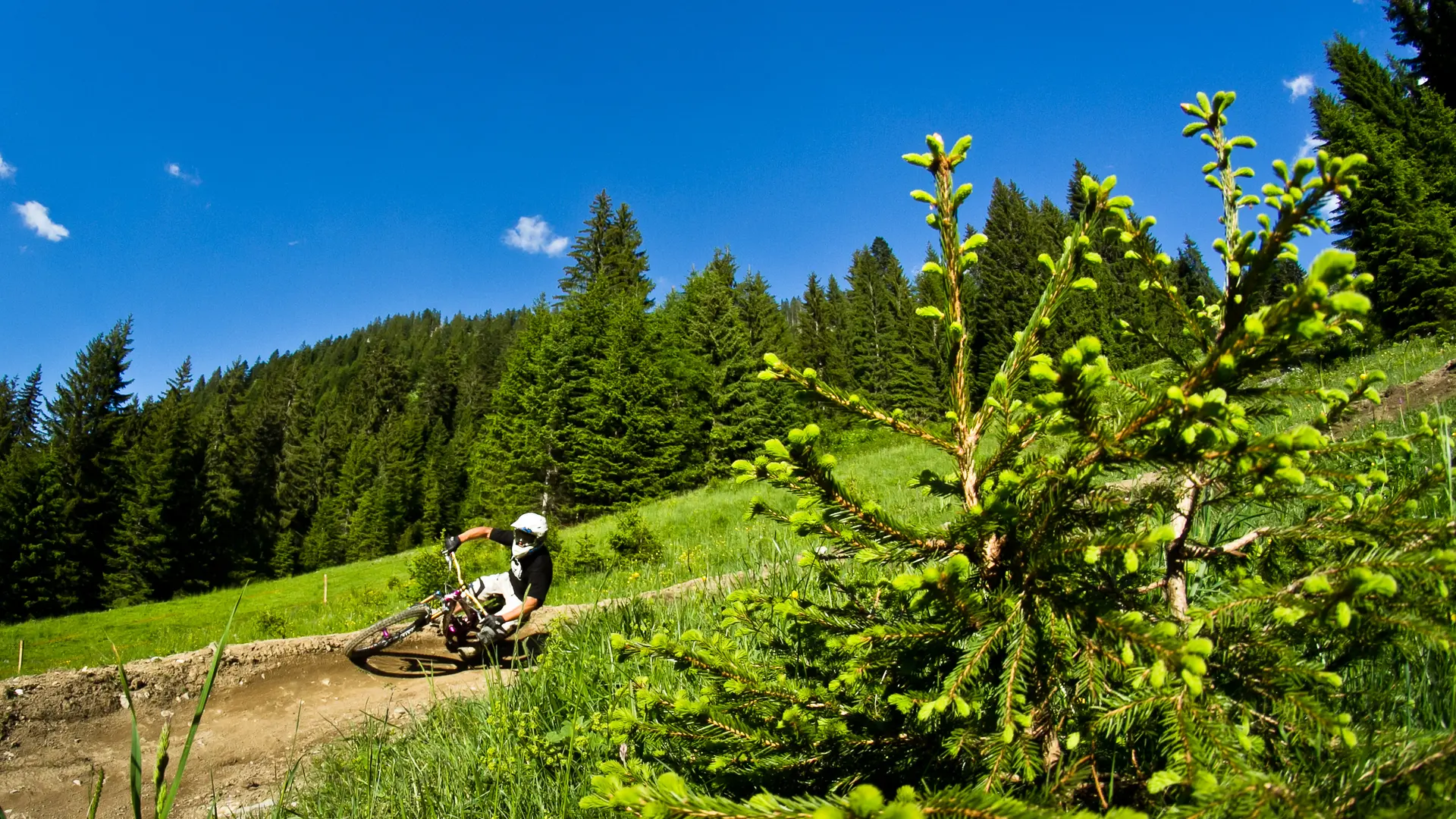 Domaine VTT de Châtel