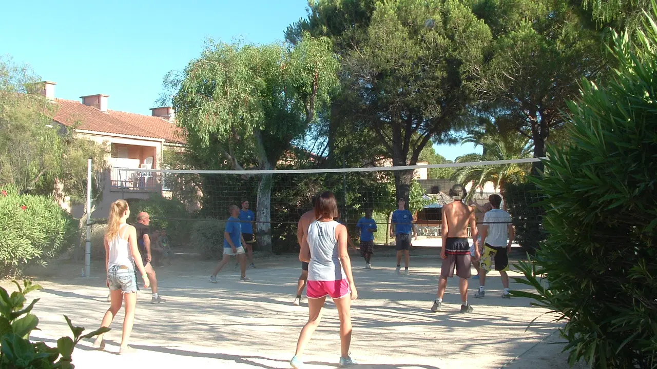 Volley Ball