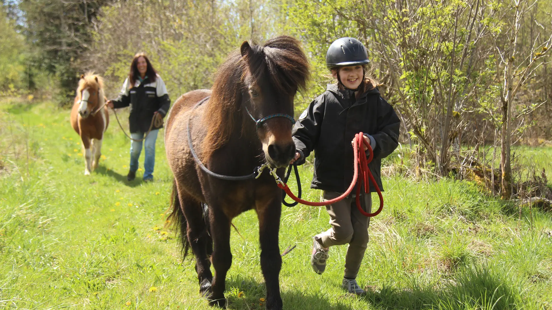Les Chevaux de Capucine