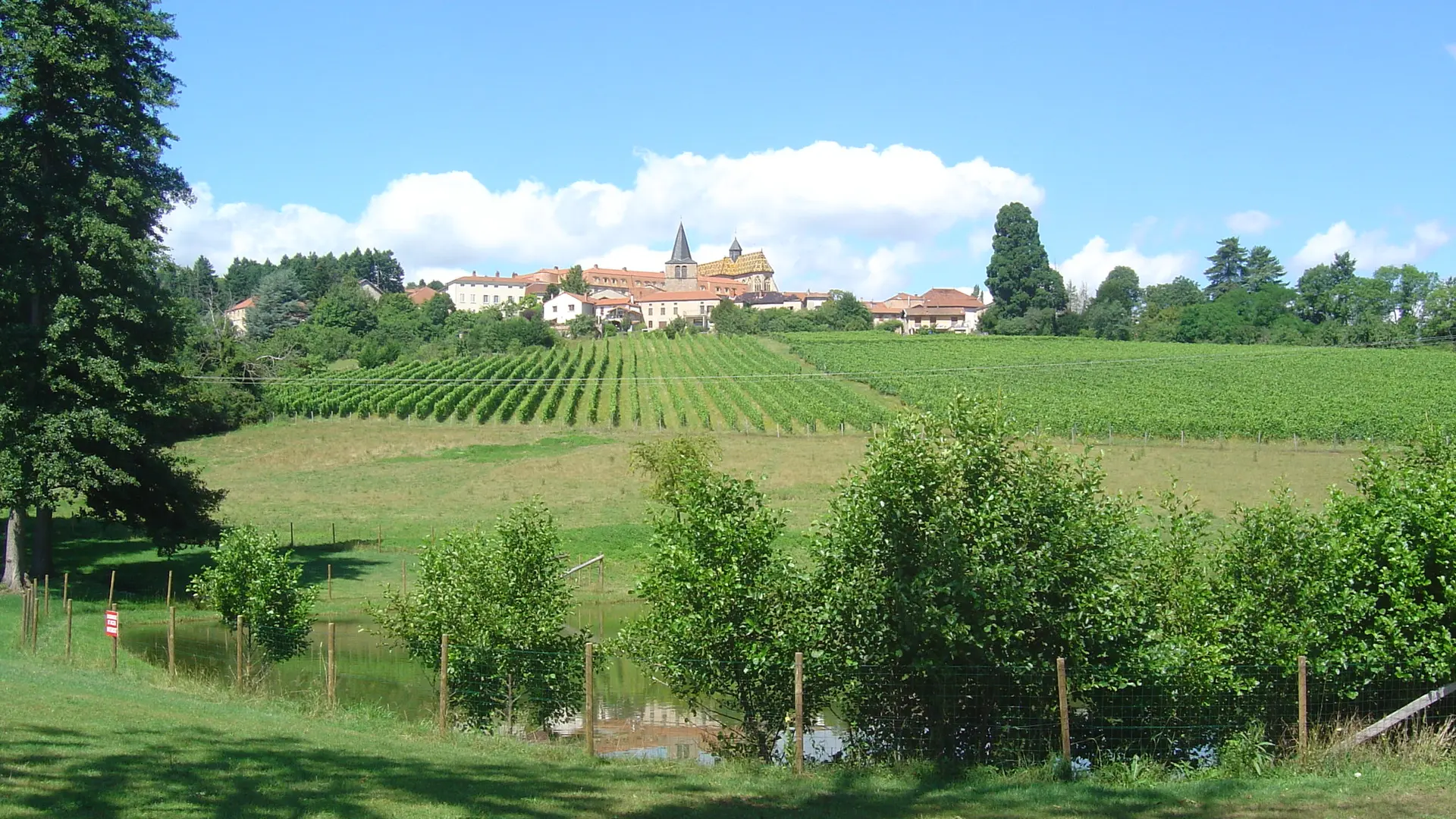 Domaine des Palais