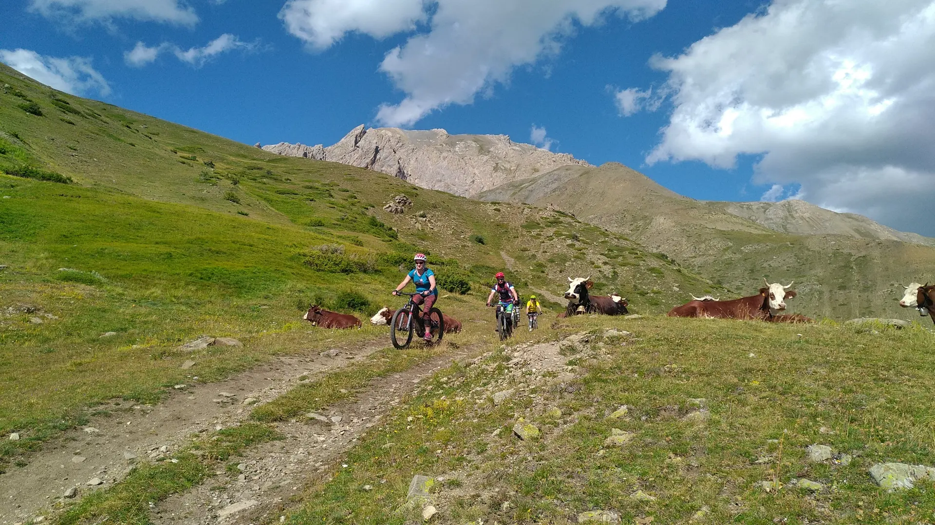 Vététistes et pastoralisme